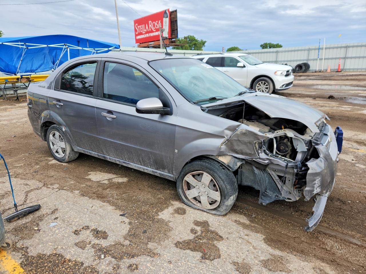 2009 Chevrolet Aveo Ls Серый vin: KL1TD56E69B631748