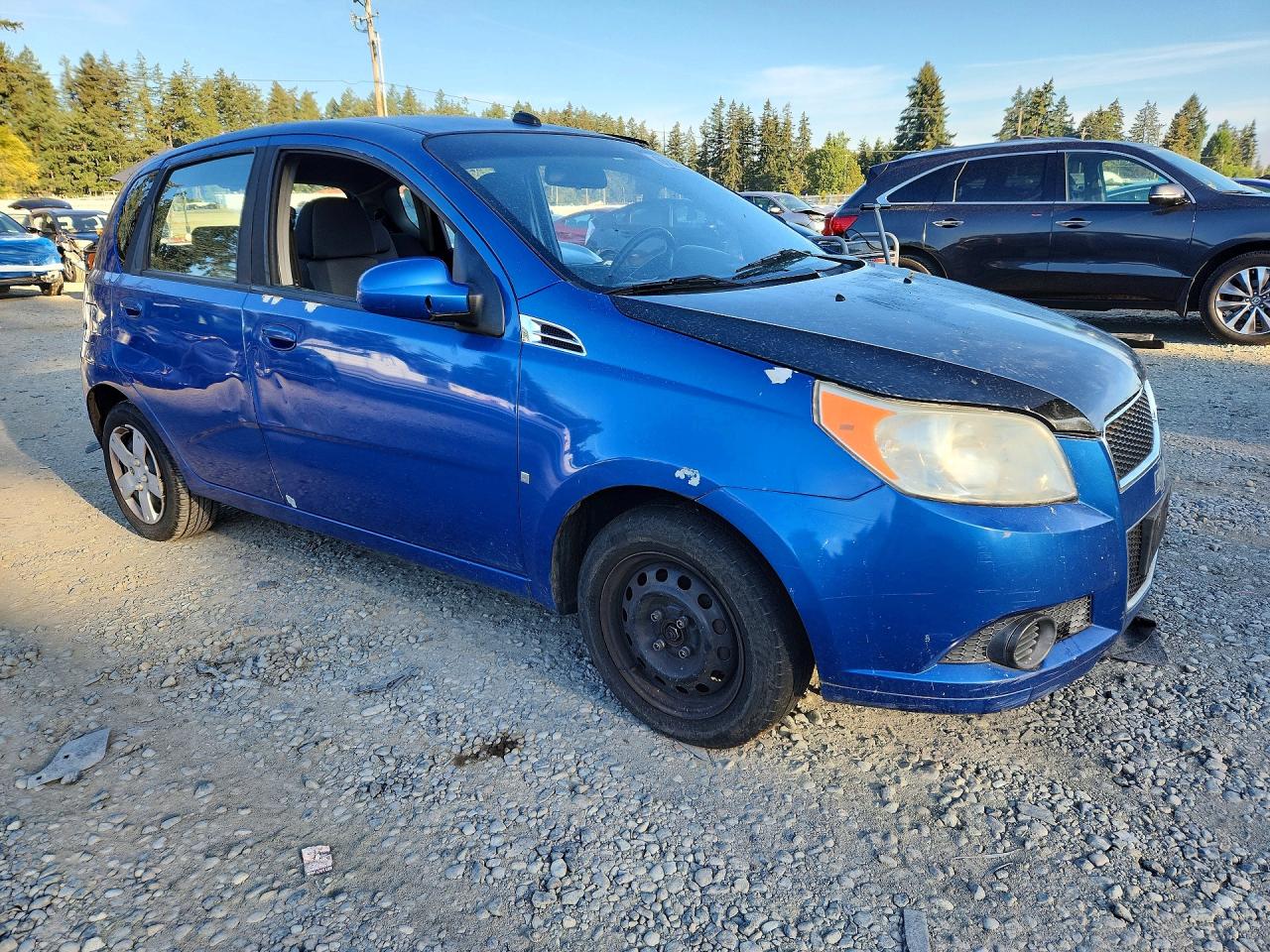 2009 Chevrolet Aveo Ls Синий vin: KL1TD66E69B363547