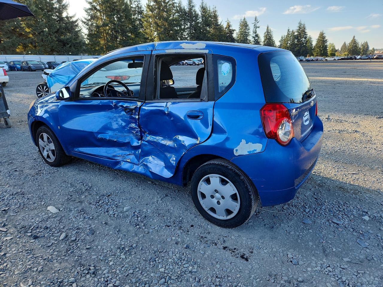2009 Chevrolet Aveo Ls Синий vin: KL1TD66E69B363547