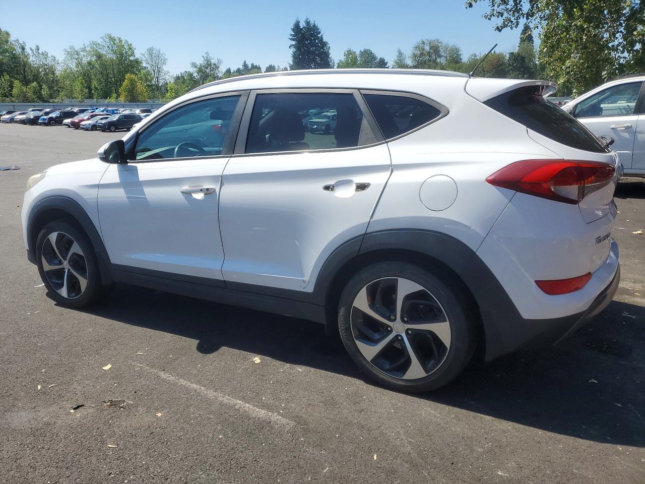 2016 Hyundai Tucson Sport White vin: KM8J33A20GU162643