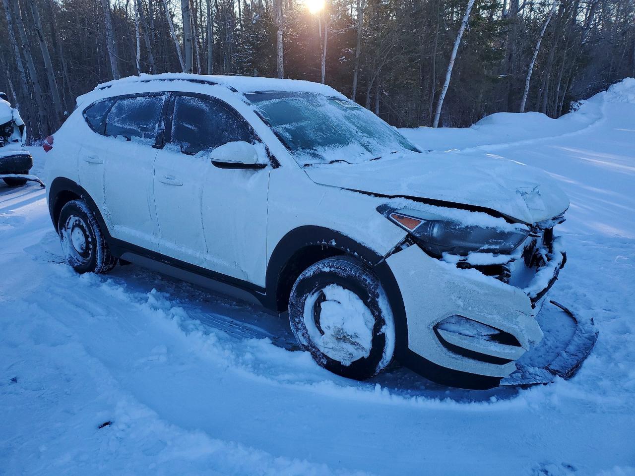 2018 Hyundai Tucson Sel Белый vin: KM8J33A49JU831596
