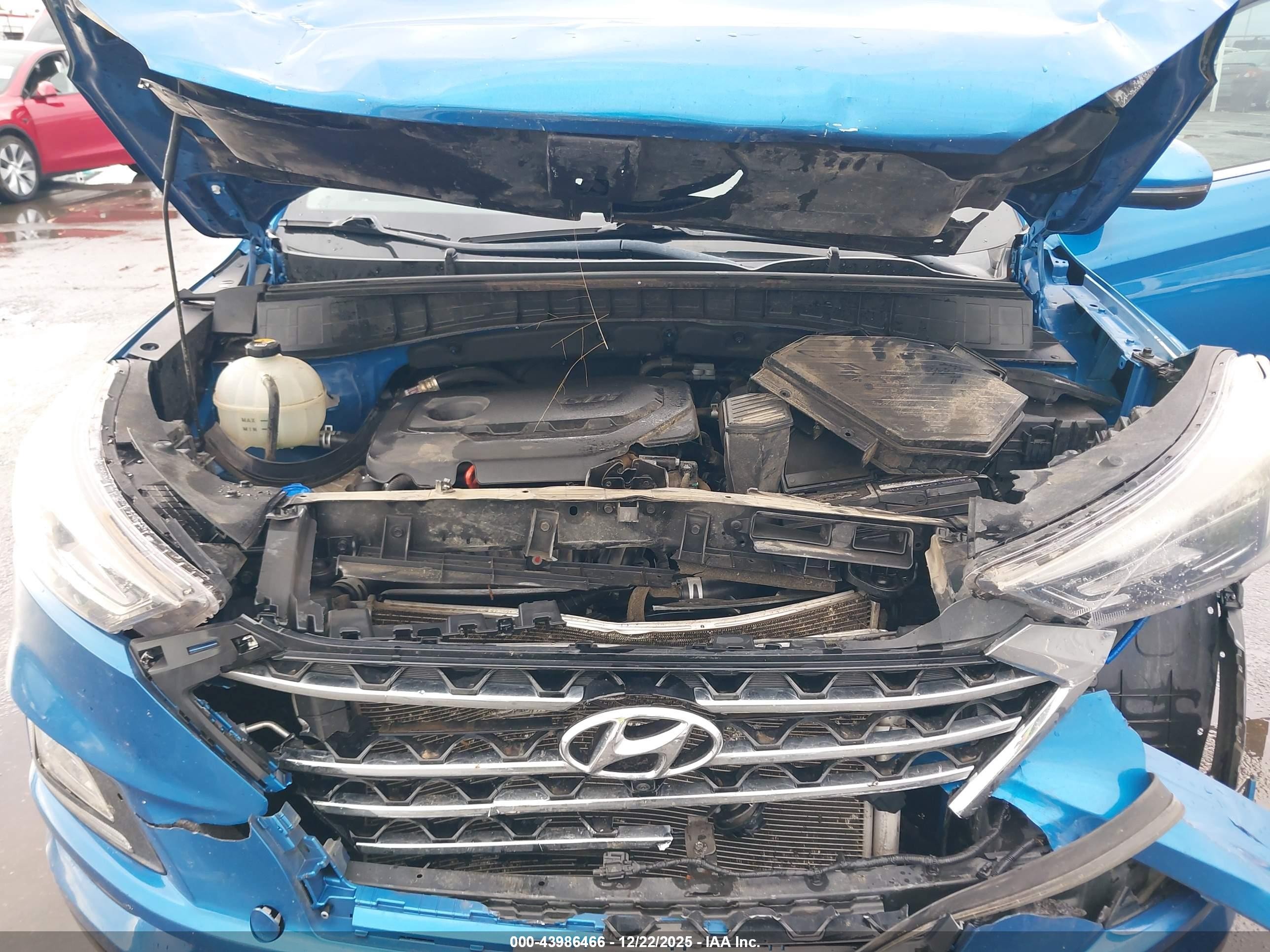 2019 Hyundai Tucson Limited Blue vin: KM8J33AL7KU915375