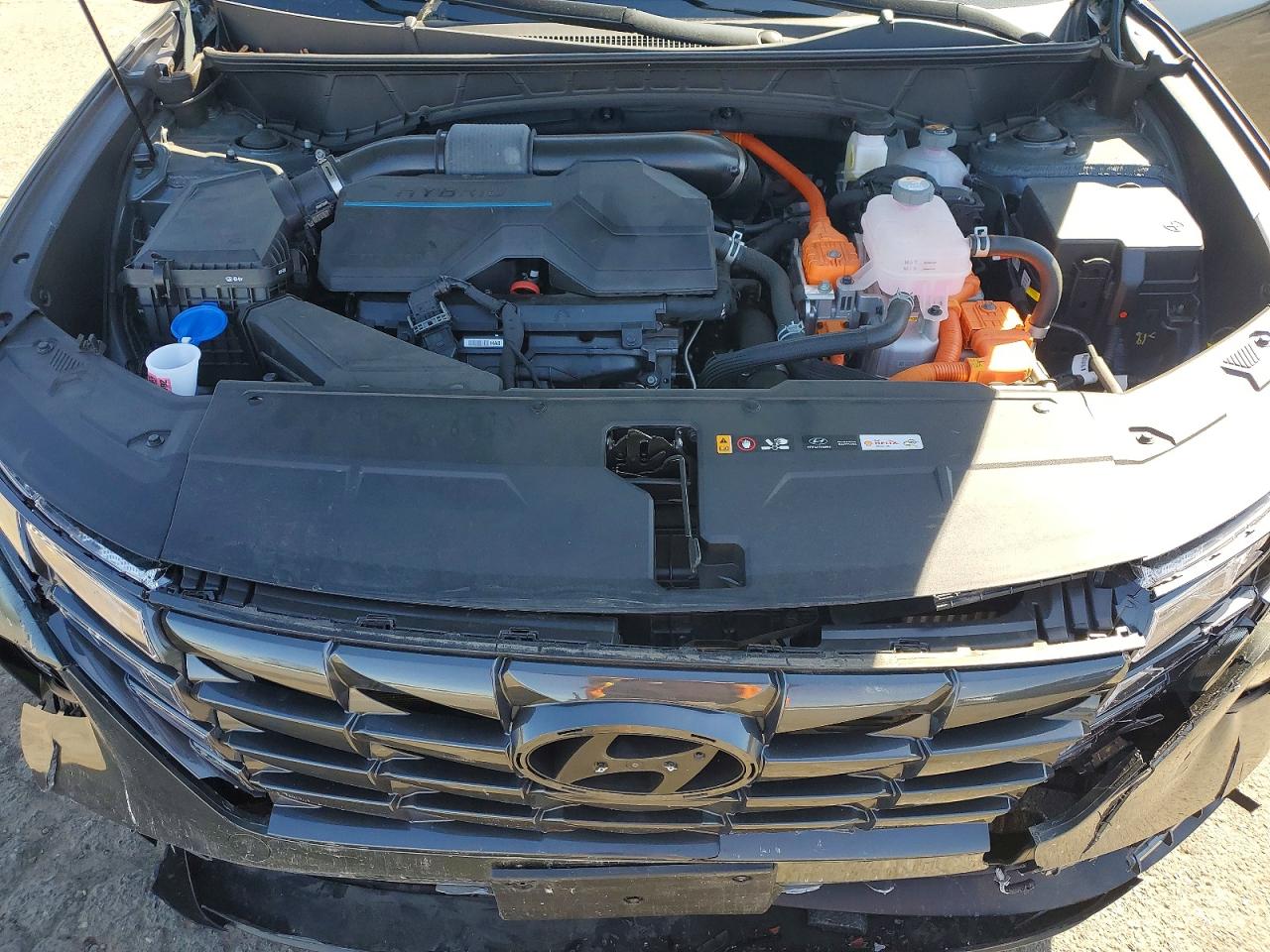 2023 Hyundai Tucson Hybrid Blue Charcoal vin: KM8JBCA15PU085052