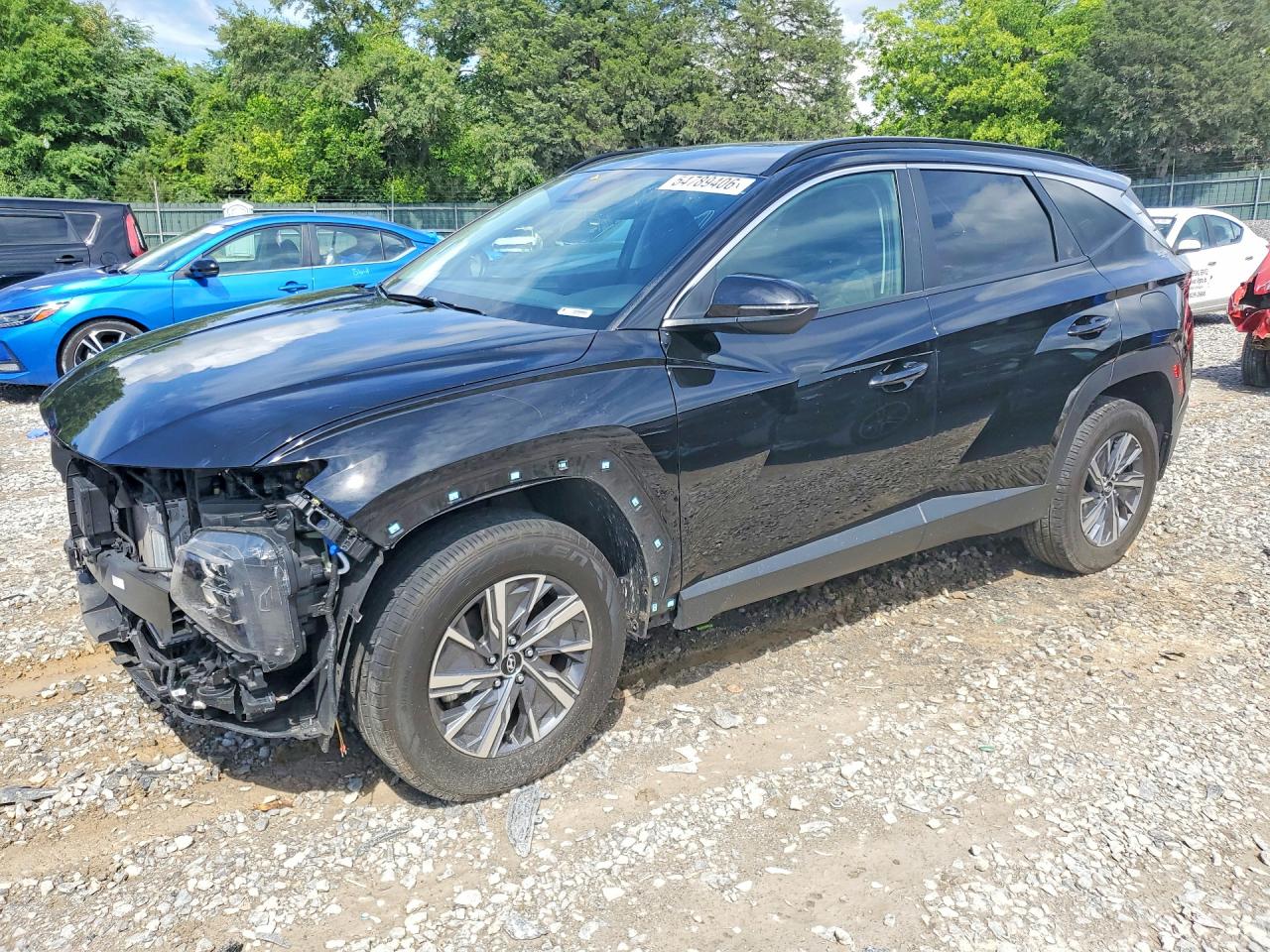 2023 Hyundai Tucson Blue Black vin: KM8JBCA16PU094861