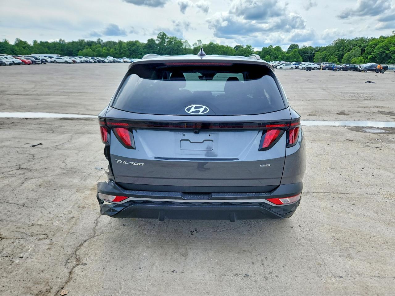 2024 Hyundai Tucson Sel Gray vin: KM8JBCDEXRU284874