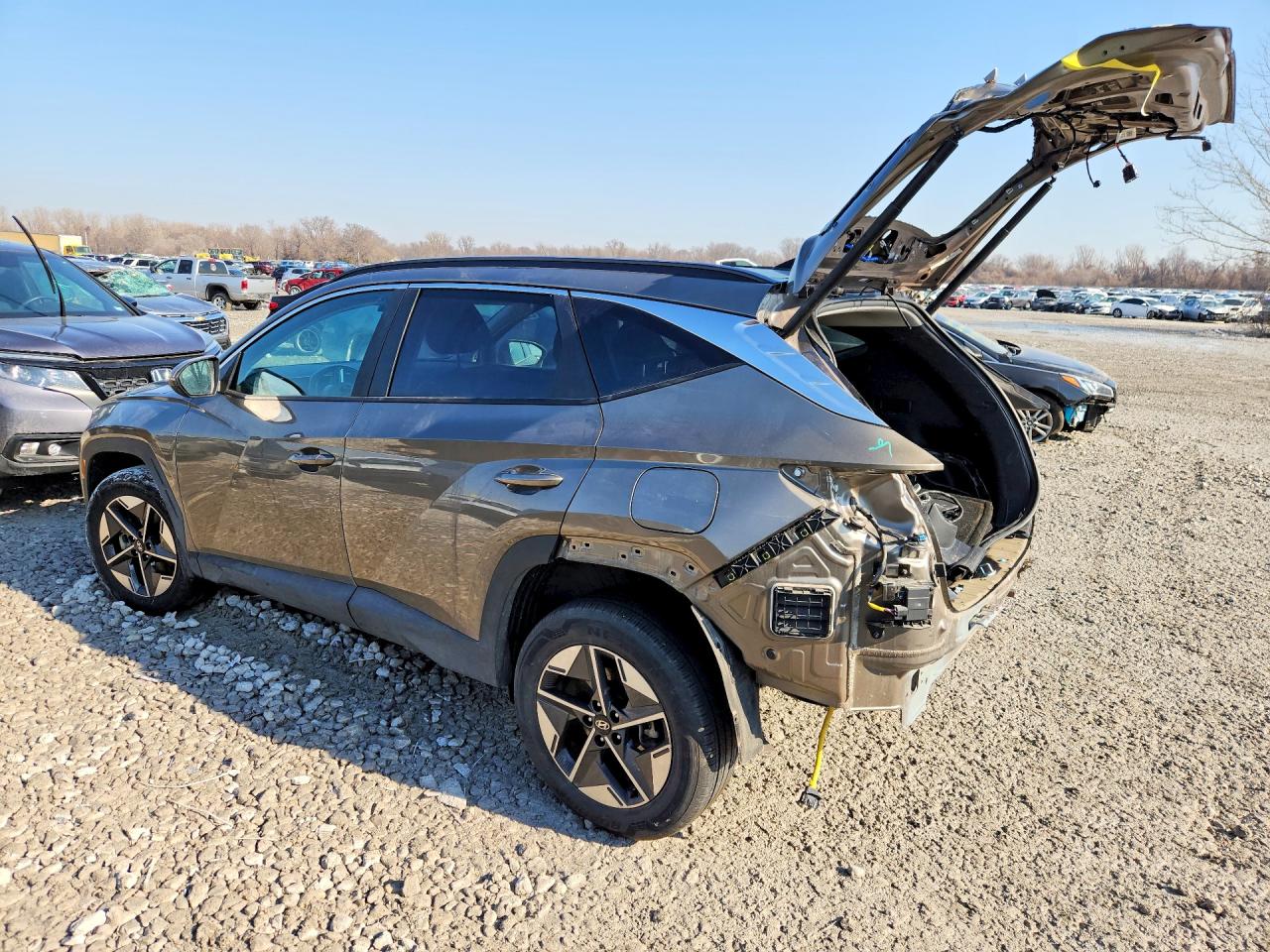 2025 Hyundai Tucson Sel Convenience Коричневый vin: KM8JCDD13SU333628