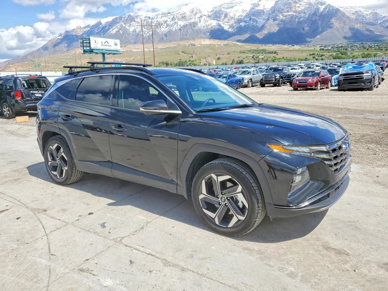 2024 Hyundai Tucson Limited Black vin: KM8JECD10RU167258