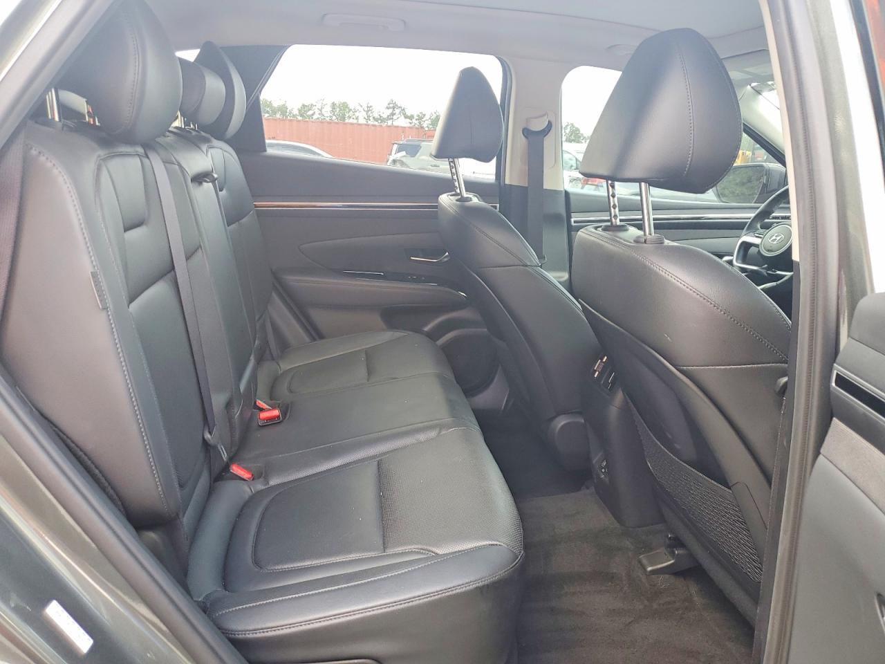 2024 Hyundai Tucson Green vin: KM8JECD17RU213040
