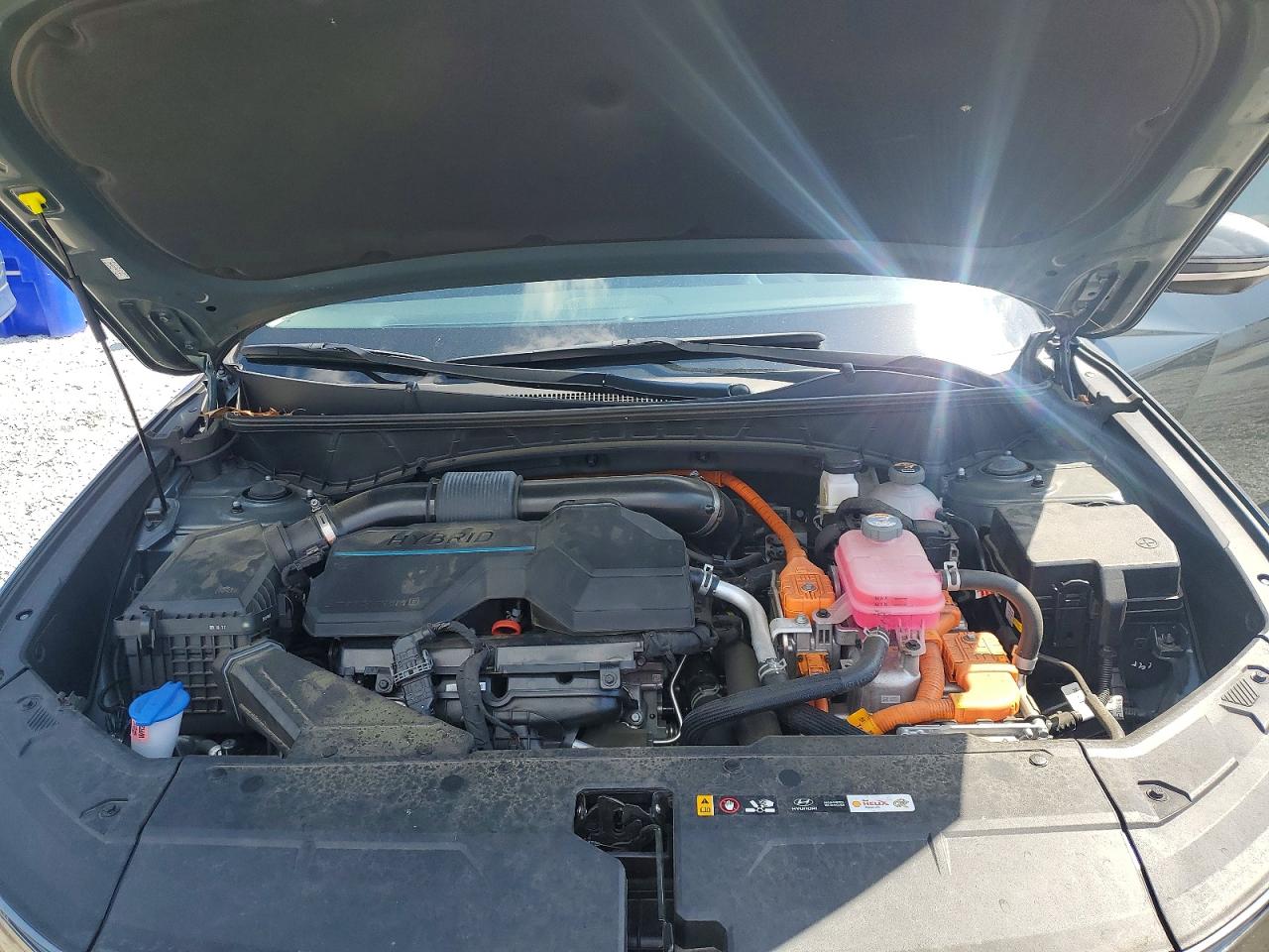 2024 Hyundai Tucson Green vin: KM8JECD17RU213040