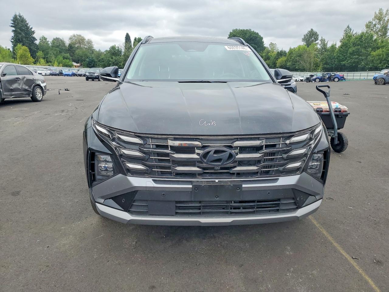 2025 Hyundai Tucson Limited Black vin: KM8JEDD16SU329051