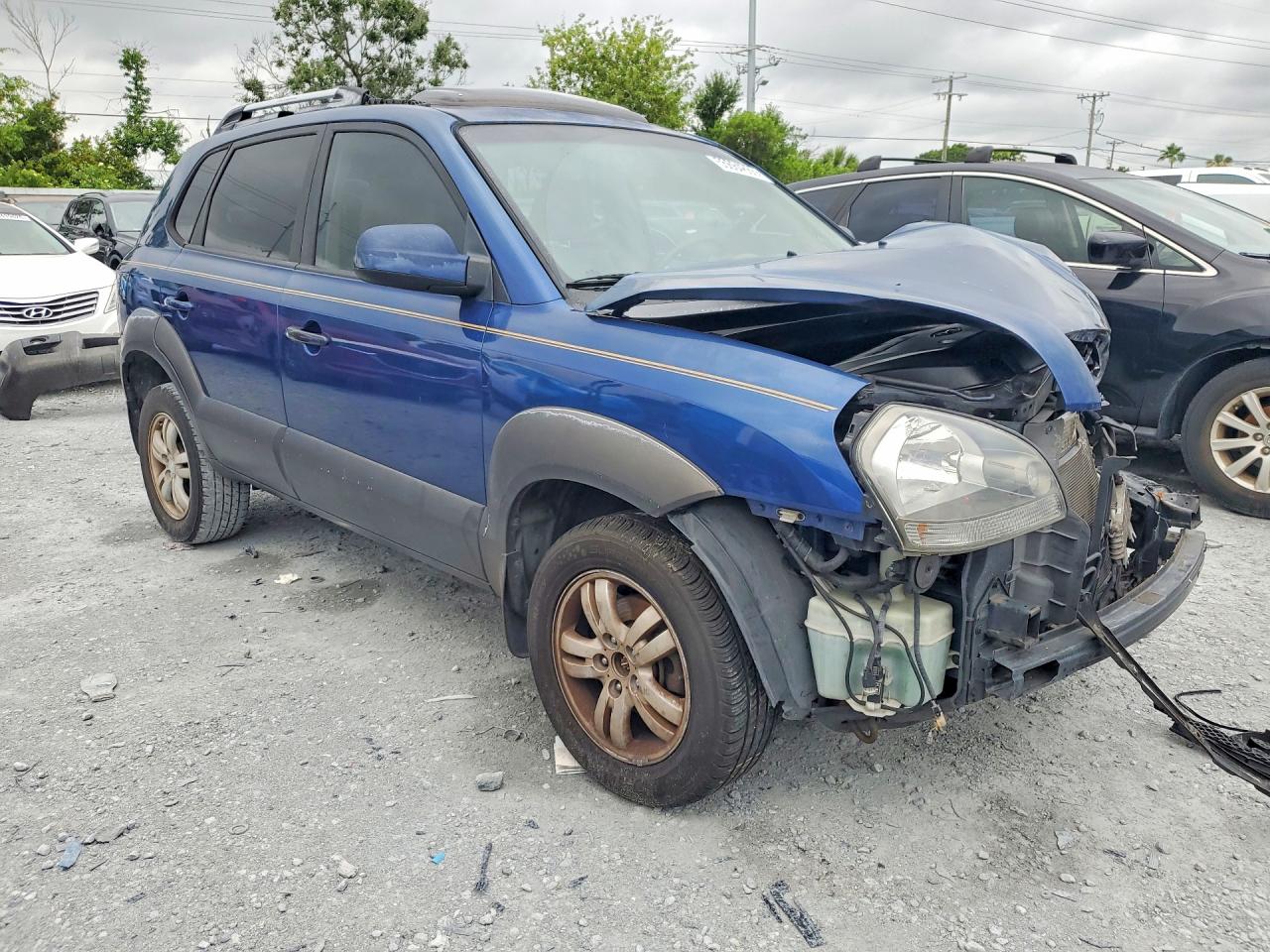 2006 Hyundai Tucson Blue vin: KM8JN12D86U295017