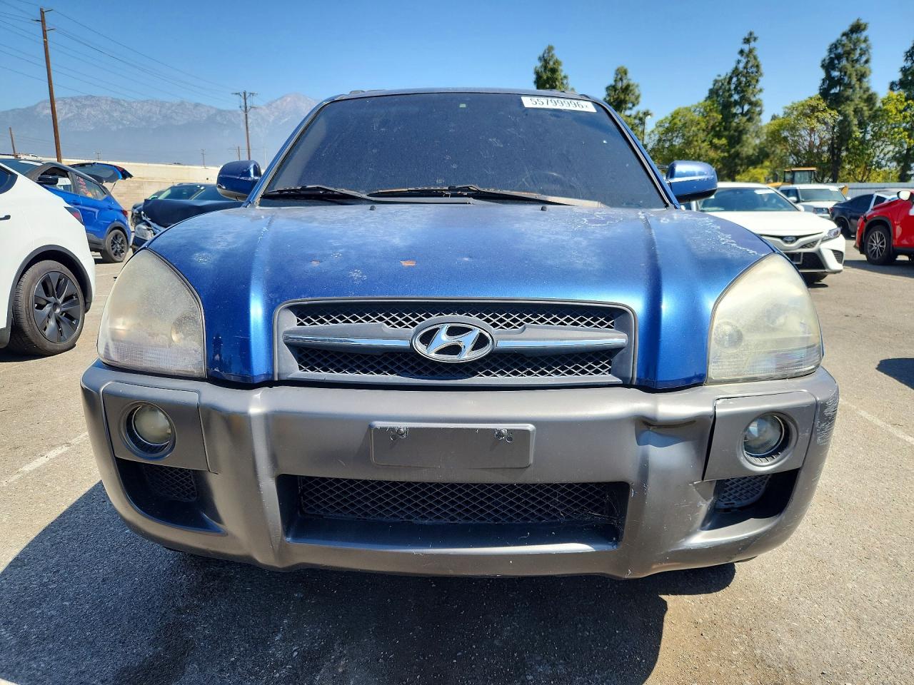 2006 Hyundai Tucson Gls Blue vin: KM8JN12DX6U282169