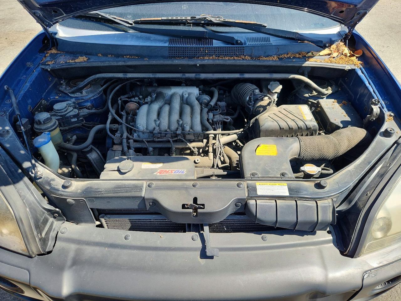 2006 Hyundai Tucson Gls Blue vin: KM8JN12DX6U282169