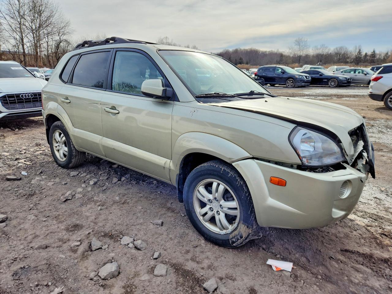 2006 Hyundai Tucson Золотой vin: KM8JN72D16U291281
