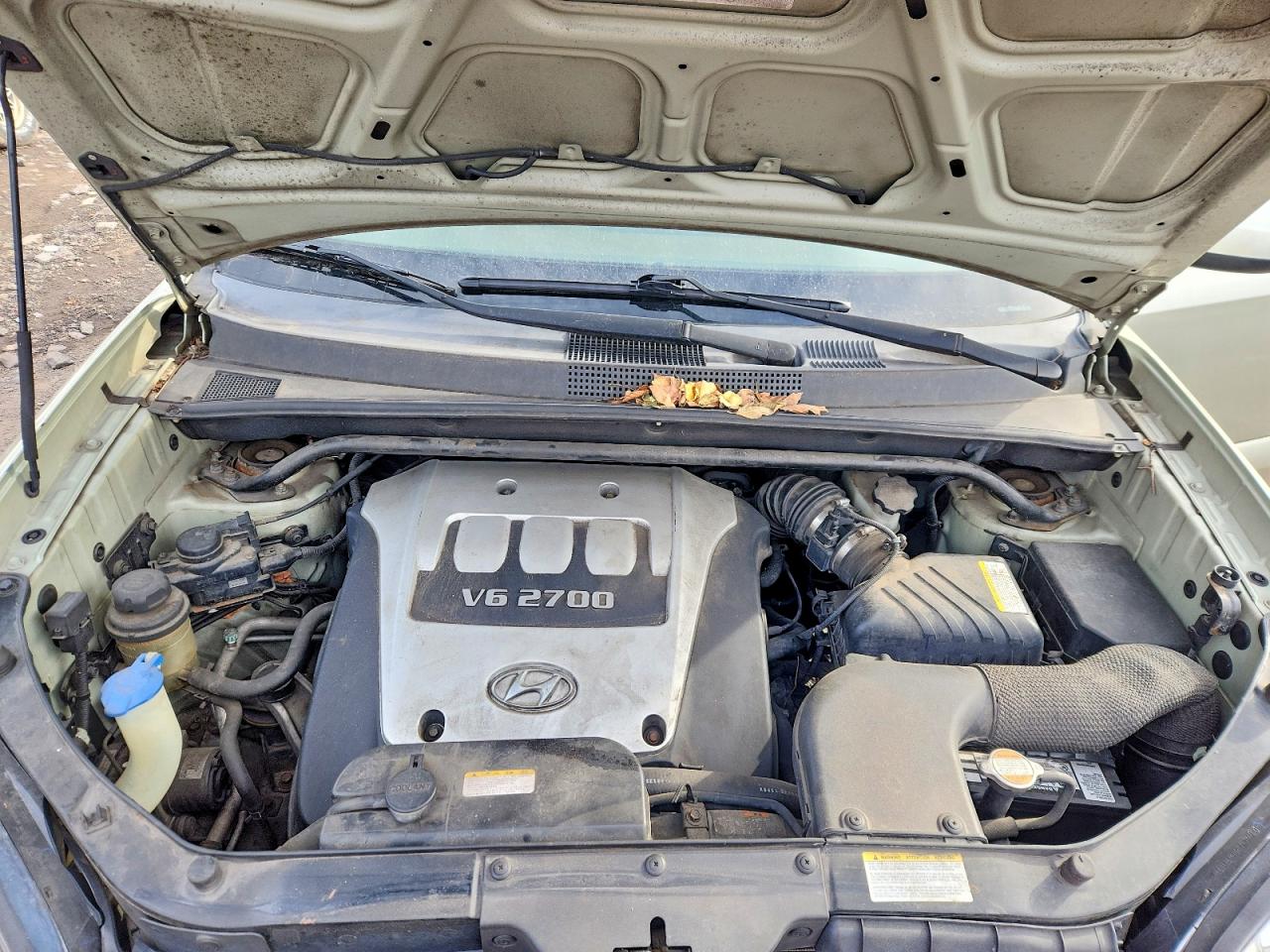 2006 Hyundai Tucson Золотой vin: KM8JN72D16U291281