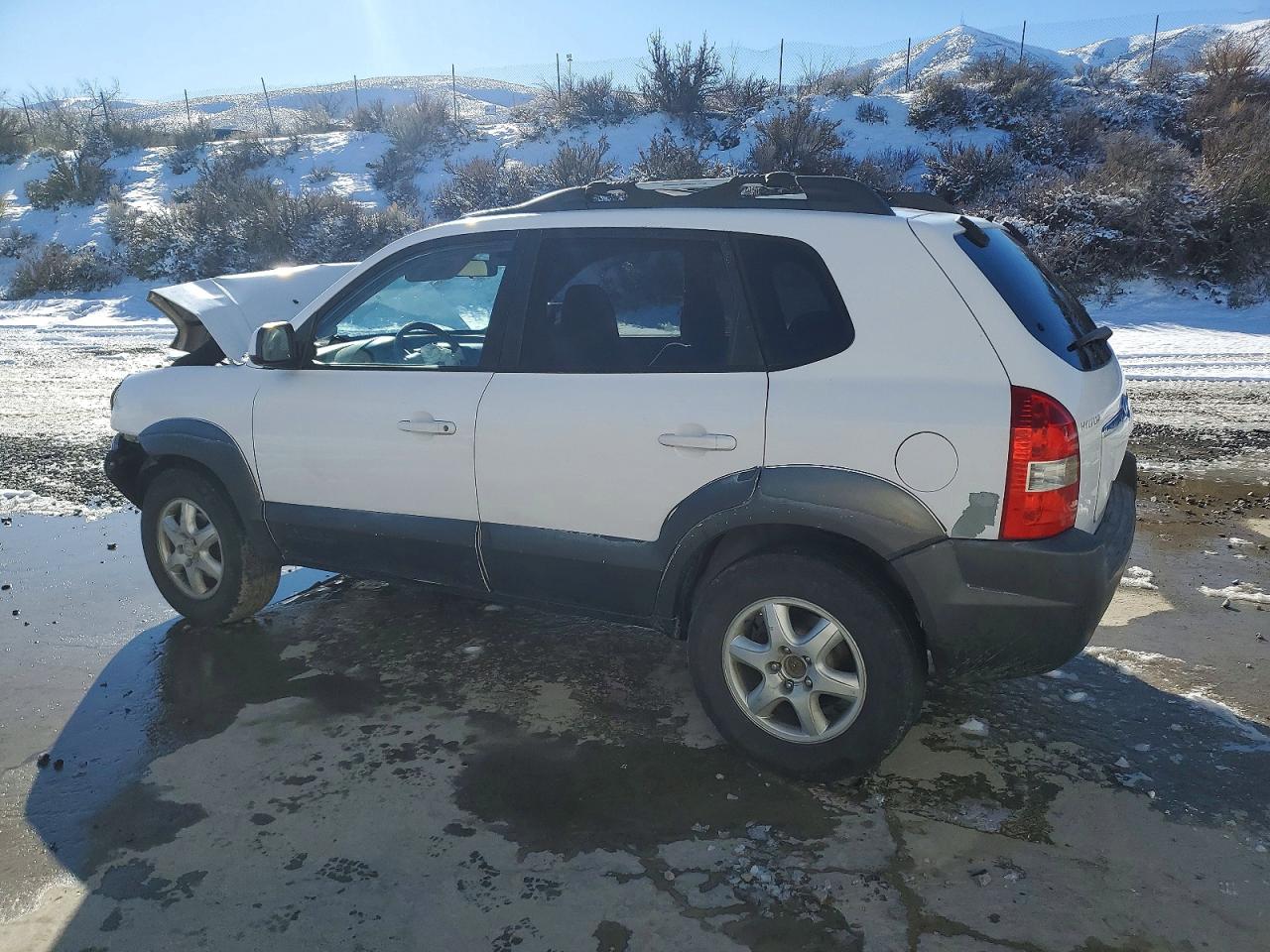 2005 Hyundai Tucson Gls White vin: KM8JN72D65U193104