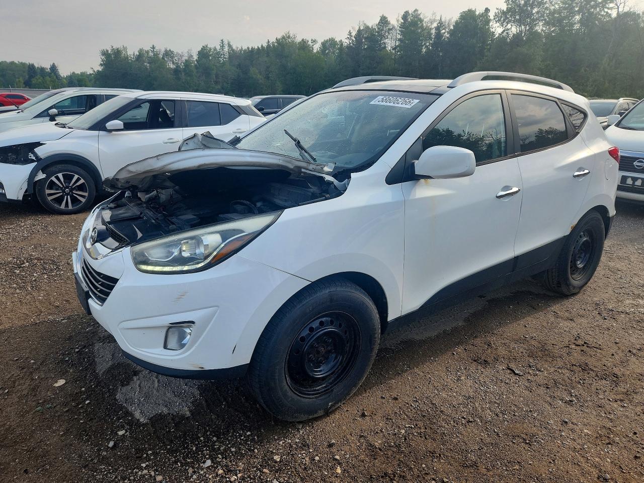 2014 Hyundai Tucson Se White vin: KM8JU3AG0EU829006