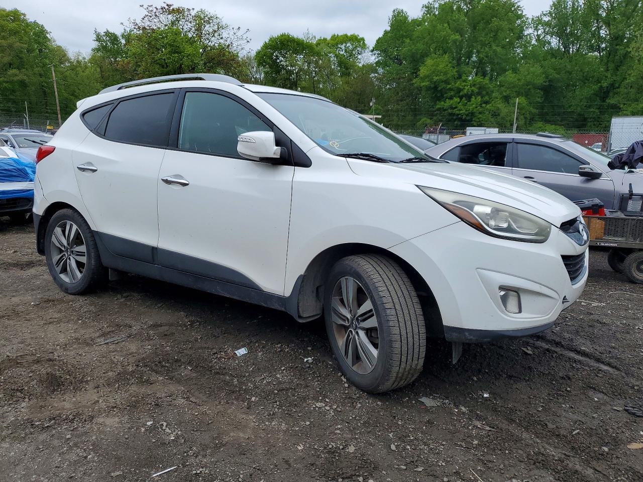 2015 Hyundai Tucson Limited Белый vin: KM8JU3AG4FU987477