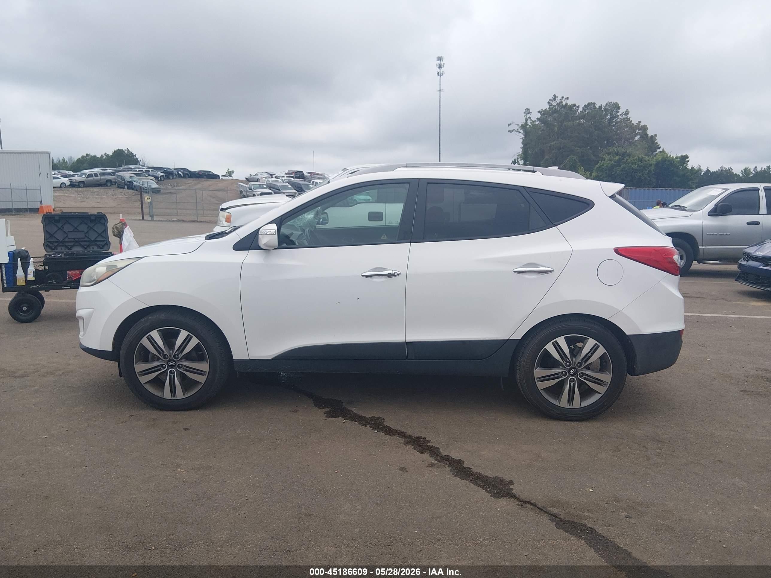 2015 Hyundai Tucson Limited Белый vin: KM8JU3AG9FU986213