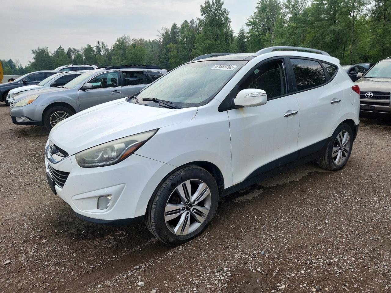 2015 Hyundai Tucson Se White vin: KM8JUCAG8FU055458