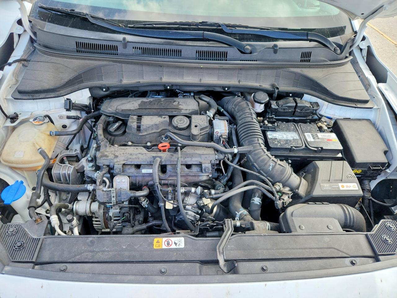2022 Hyundai Kona Limited Белый vin: KM8K53A35NU753524
