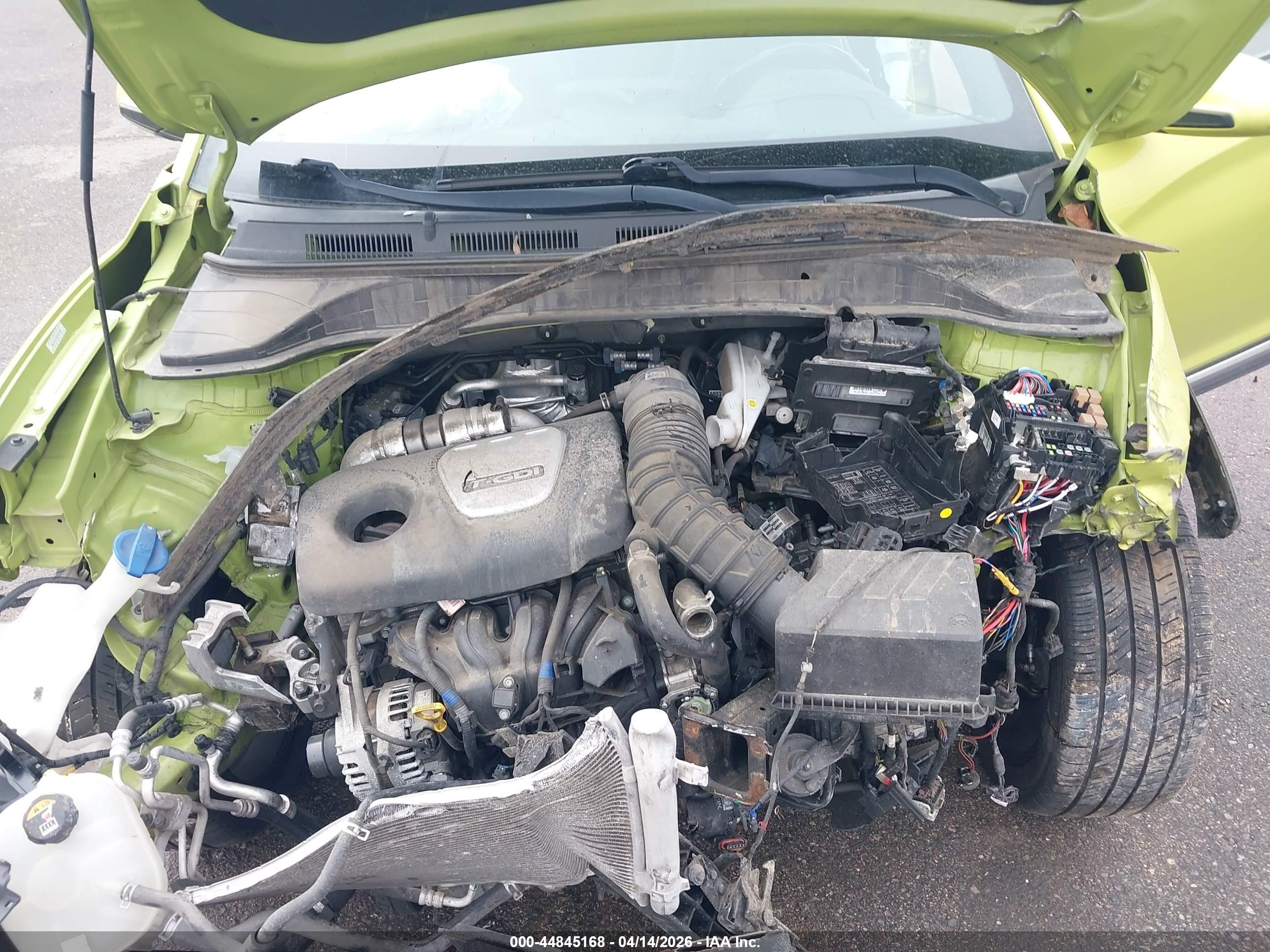 2019 Hyundai Kona Ultimate Green vin: KM8K53A55KU267390