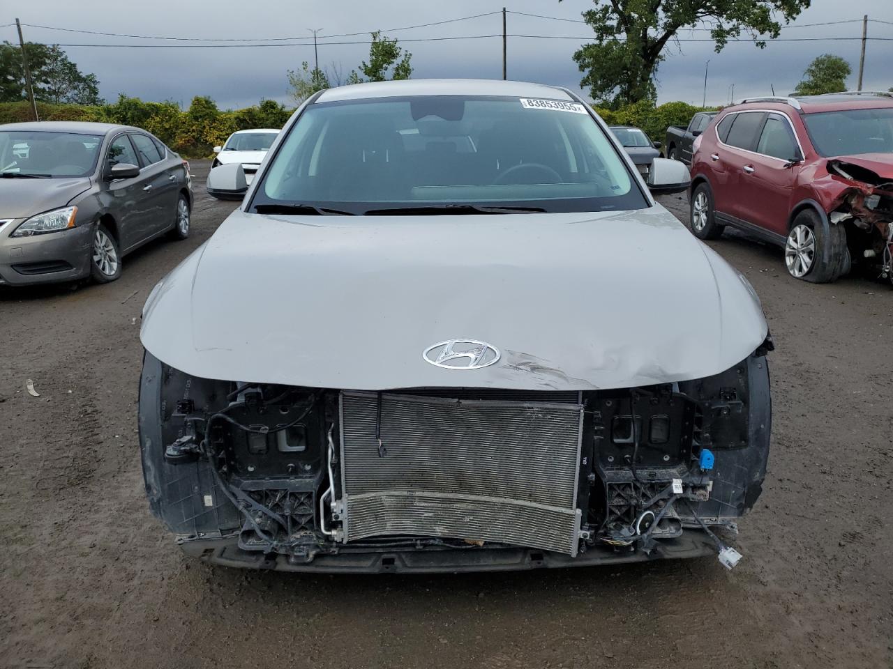 2024 Hyundai Ioniq 5 Sel Gray vin: KM8KNDDF7RU323480