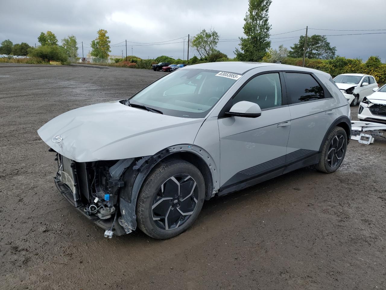 2024 Hyundai Ioniq 5 Sel Gray vin: KM8KNDDF7RU323480