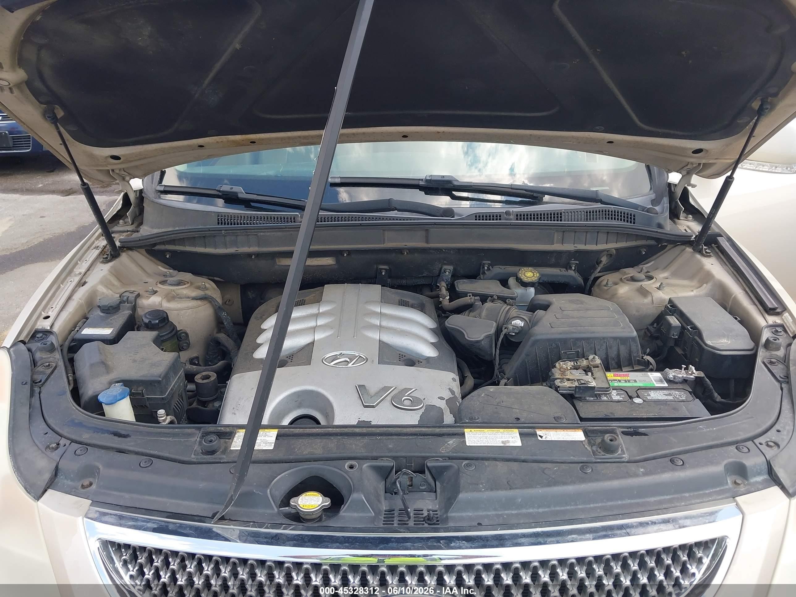 2007 Hyundai Veracruz   Gold vin: KM8NU73C37U013736