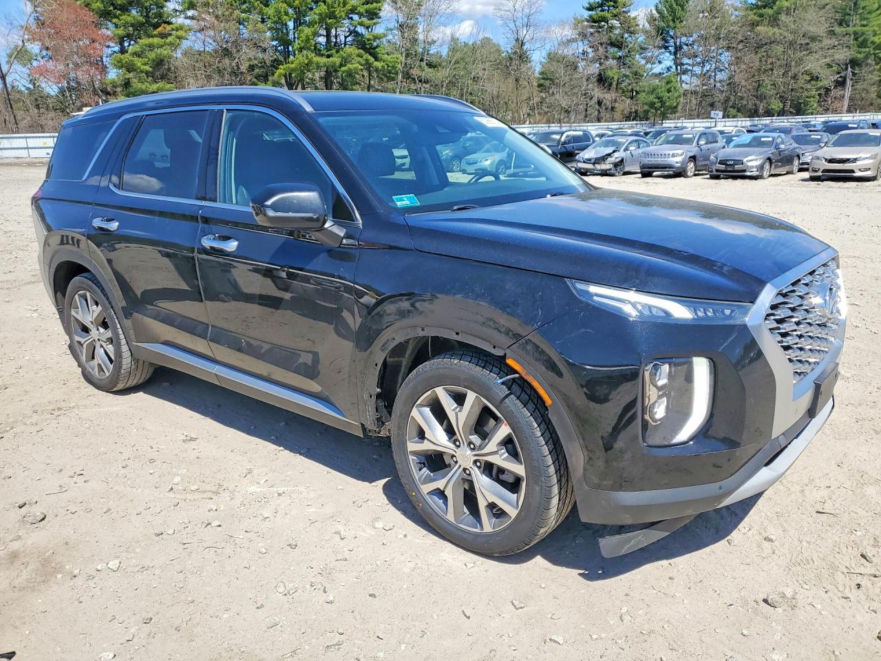 2020 Hyundai Palisade Sel Black vin: KM8R4DHE3LU092281