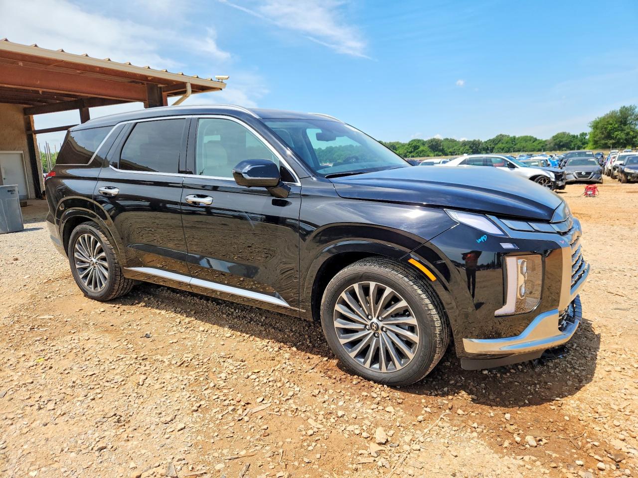 2025 Hyundai Palisade Calligraphy Black vin: KM8R74GE3SU842057