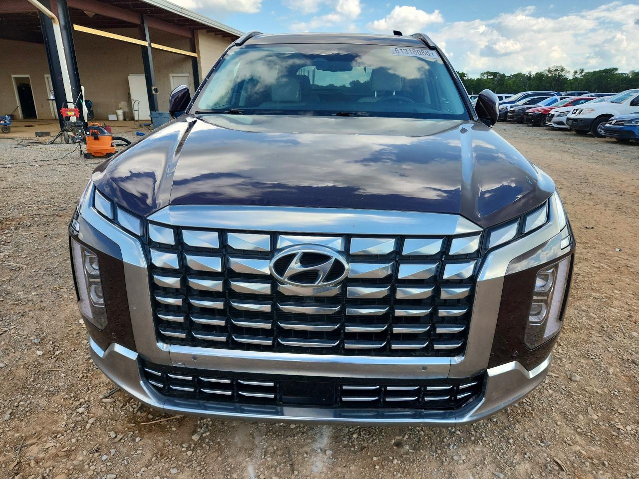 2024 Hyundai Palisade Calligraphy Purple vin: KM8R74GE4RU716462