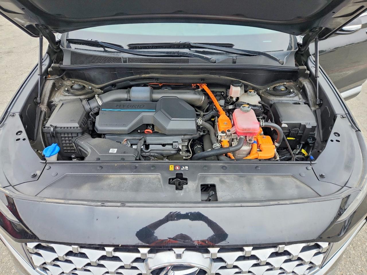 2021 Hyundai Santa Fe Blue Черный vin: KM8S2DA1XMU006304