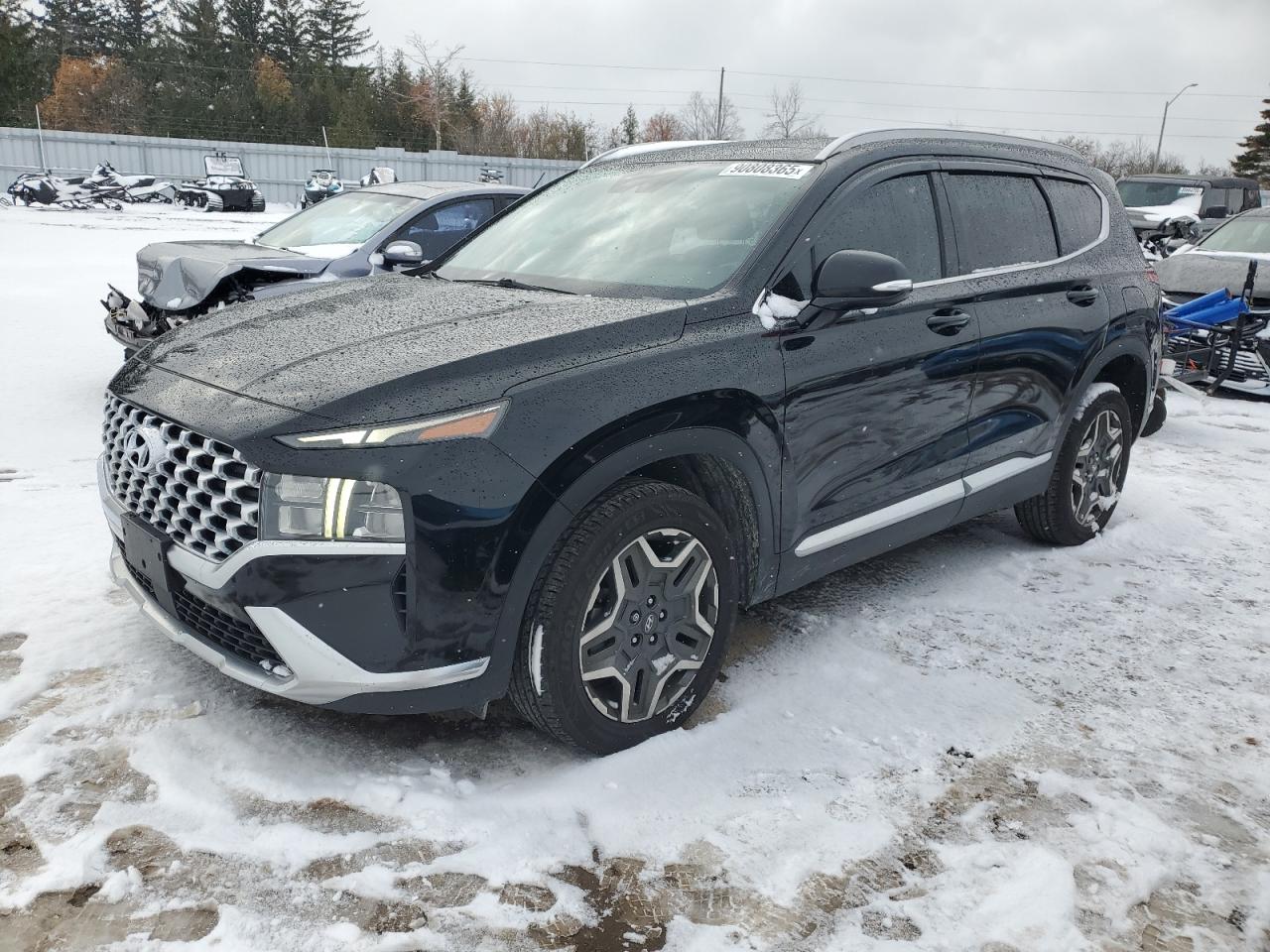 2021 Hyundai Santa Fe Sel Premium Black vin: KM8S3DA10MU005255