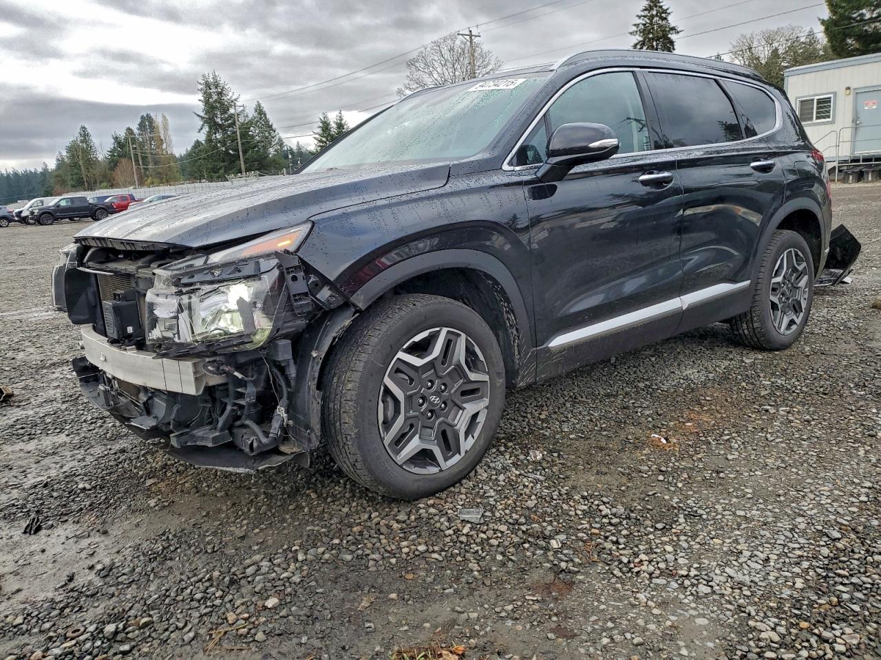 2021 Hyundai Santa Fe Sel Premium Black vin: KM8S3DA18MU011952