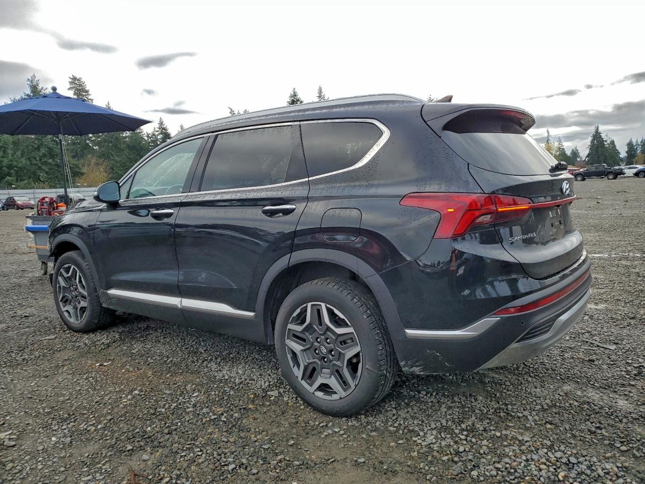 2021 Hyundai Santa Fe Sel Premium Black vin: KM8S3DA18MU011952