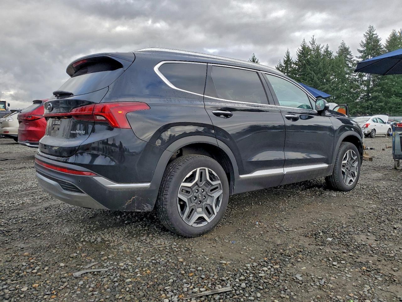 2021 Hyundai Santa Fe Sel Premium Black vin: KM8S3DA18MU011952
