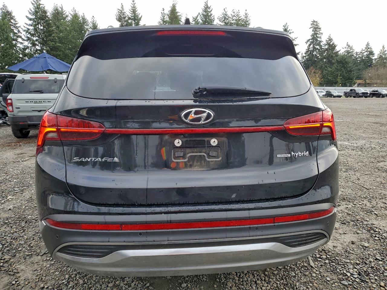 2021 Hyundai Santa Fe Sel Premium Black vin: KM8S3DA18MU011952