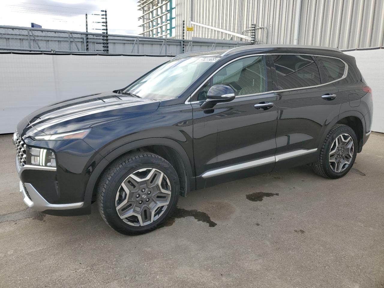 2021 Hyundai Santa Fe Limited Black vin: KM8S5DA1XMU009419 Damage: Left Front Door, Heavy Scratch, 3 To 4 Inches