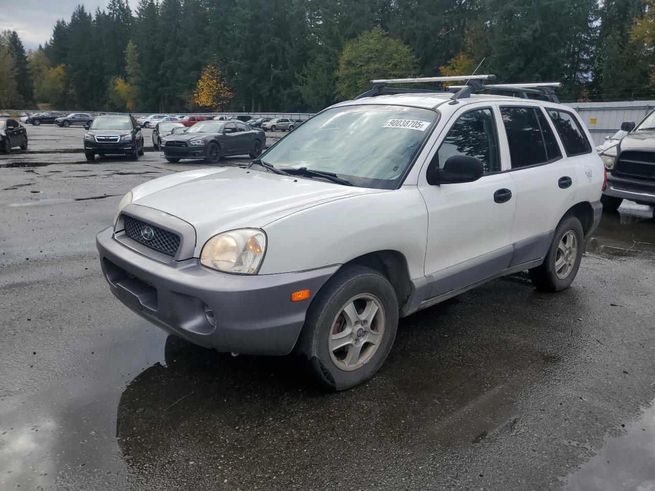 2003 Hyundai Santa Fe Gl White vin: KM8SB12B13U415361