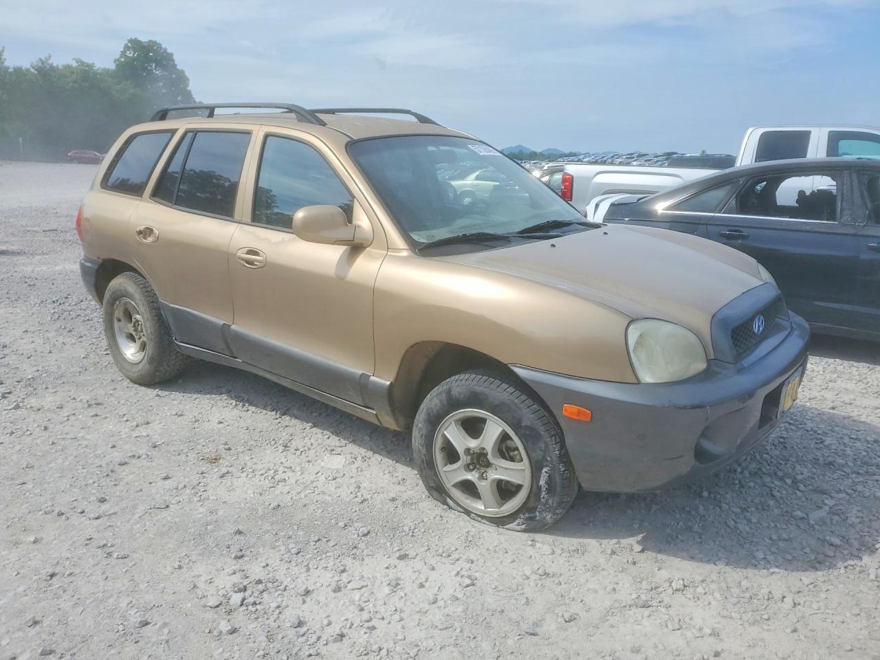 2003 Hyundai Santa Fe Gold vin: KM8SB12B63U429370