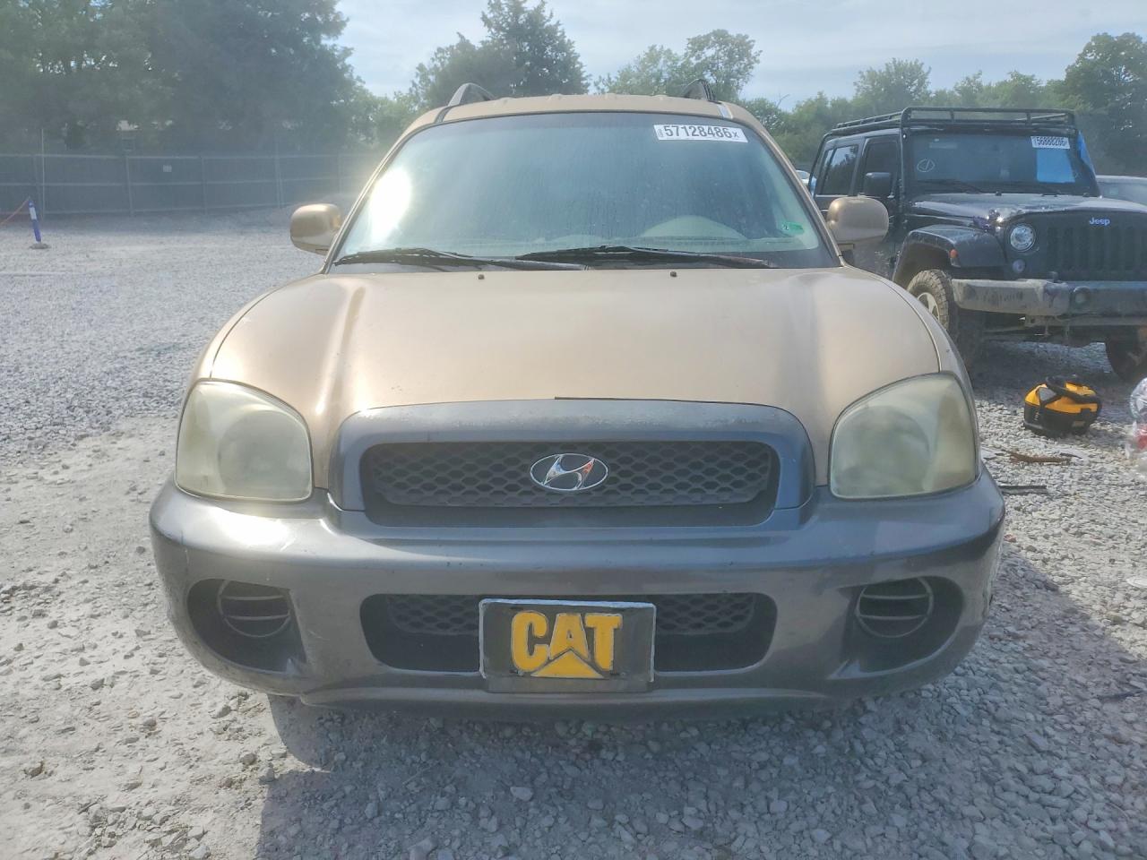 2003 Hyundai Santa Fe Gold vin: KM8SB12B63U429370
