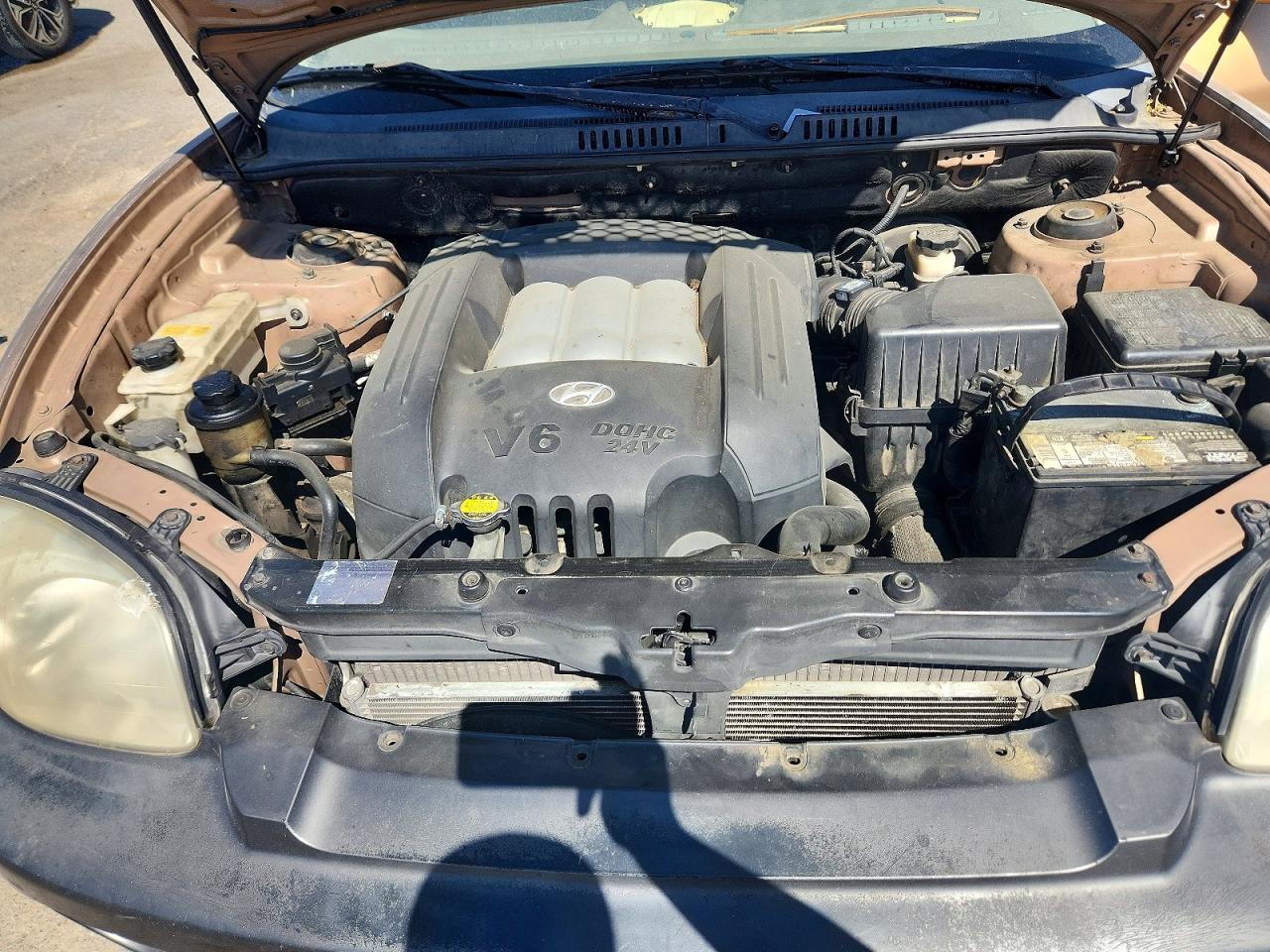 2004 Hyundai Santa Fe Gls Tan vin: KM8SC13D04U593034
