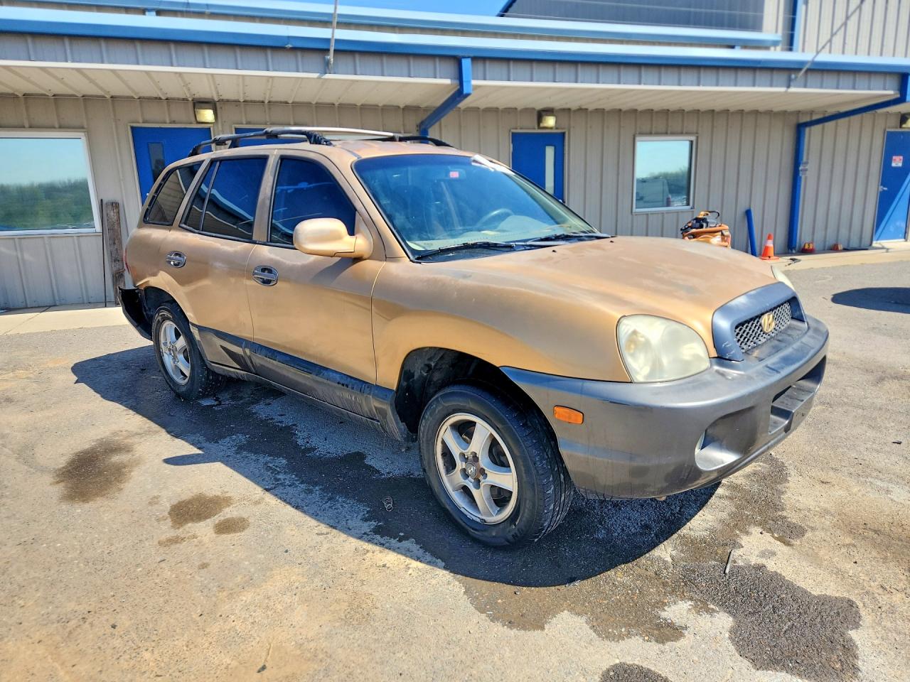 2004 Hyundai Santa Fe Gls Tan vin: KM8SC13D04U593034