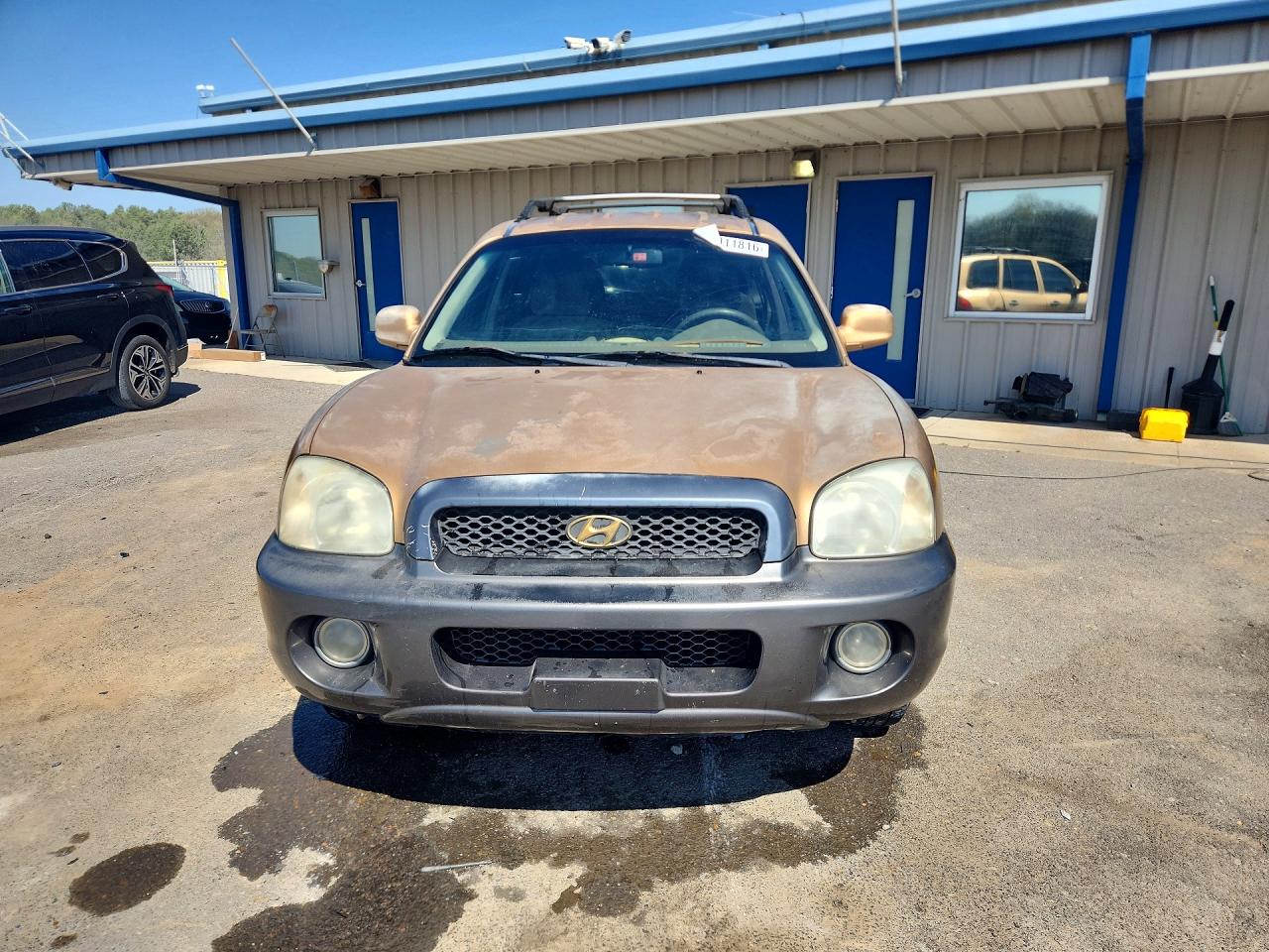 2004 Hyundai Santa Fe Gls Tan vin: KM8SC13D04U593034