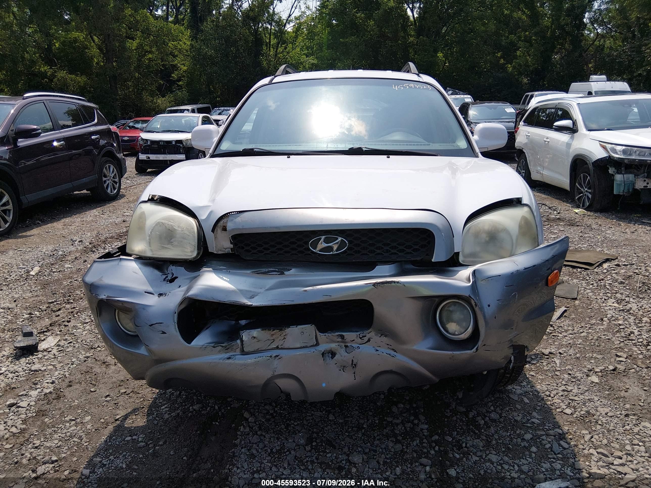 2004 Hyundai Santa Fe Gls White vin: KM8SC13D04U754319