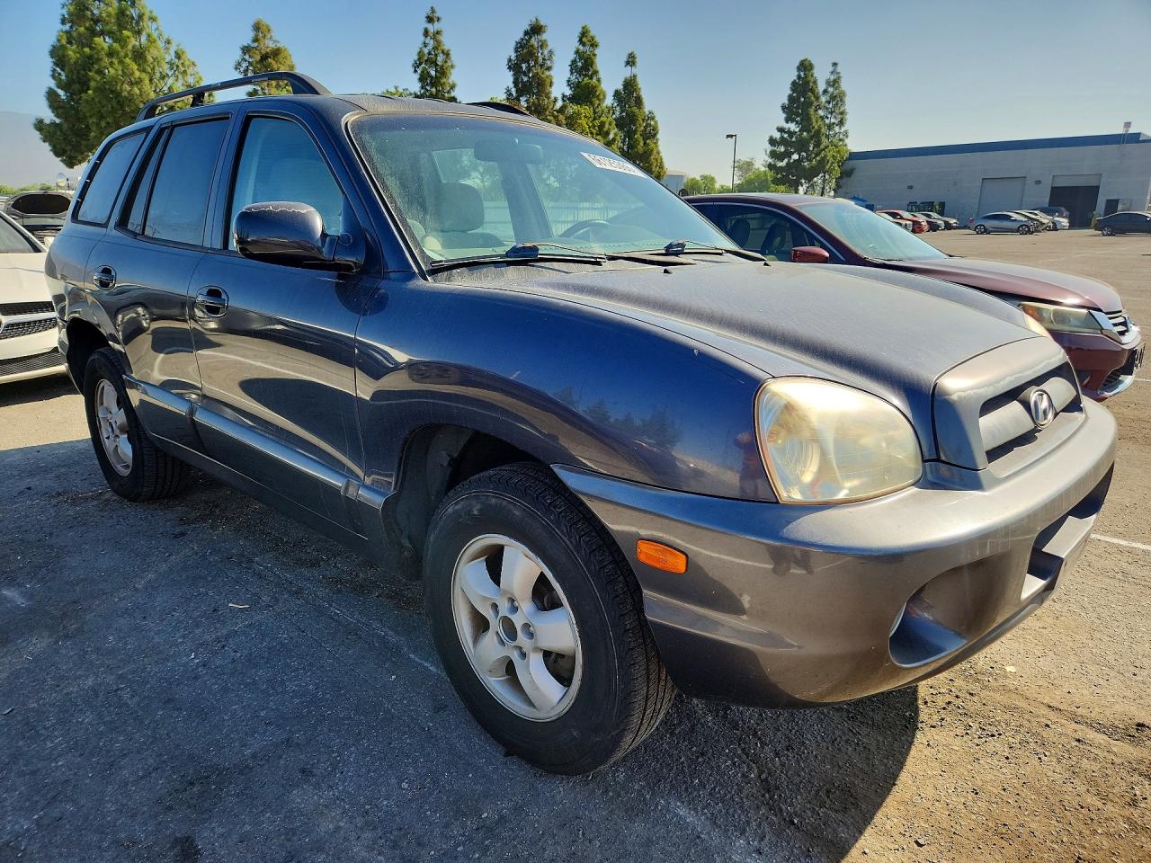 2005 Hyundai Santa Fe Gls Blue vin: KM8SC13D05U874557