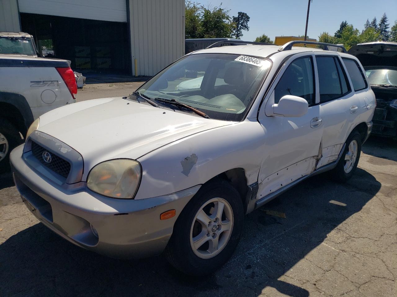 2002 Hyundai Santa Fe Gls White vin: KM8SC13D12U243361