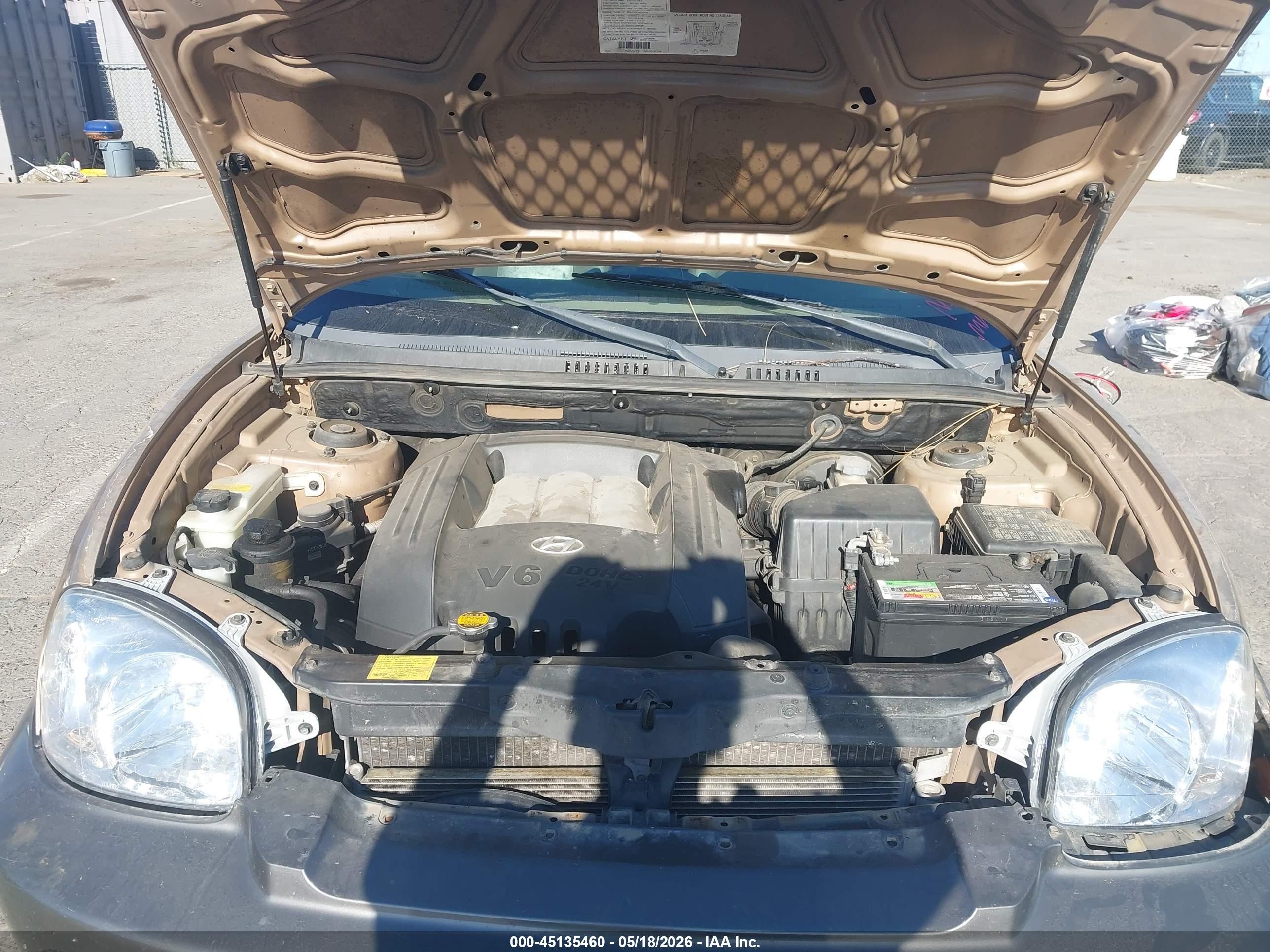 2003 Hyundai Santa Fe Gls/lx Beige vin: KM8SC13D13U469711