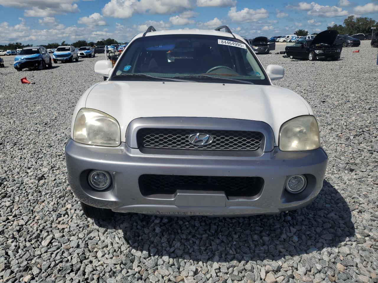 2004 Hyundai Santa Fe Gls White vin: KM8SC13D14U628485